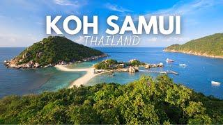 Koh Samui Thailand: 9 Best Things To Do In Koh Samui Thailand (2024)