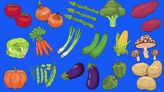 Learn Vegetables Vocabulary | Talking Flashcards