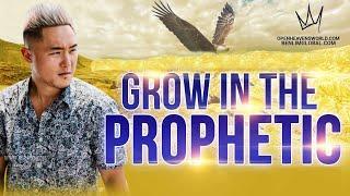 GROW IN THE PROPHETIC PT. 2 "The Maturity of a Prophetic Person"