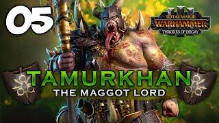 CHAOTIC EXPERIMENTS OF NURGLE! Total War: Warhammer 3 - Tamurkhan [IE] Campaign #5