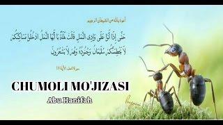 "Chumoli Mo'jizasi" Go'zal Xulqlar Silsilasidan Lavha (Abu Hanifah)