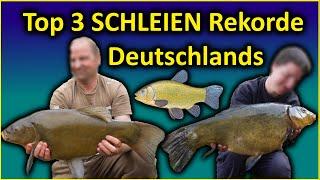 Top 3 Rekord SCHLEIEN Deutschlands | schleien angeln