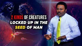  Hear this Mystery About The Creation of Man