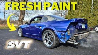 FRESH PAINT: Fixing The Body Damage On My SVT Cobra!!