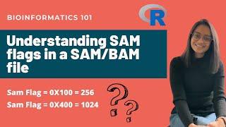 SAM flags explained | Understanding SAM flags in a SAM/BAM file | Bioinformatics 101