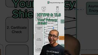 HTTPS & TLS: Your Privacy Shield  #javascript #python #web #coding #programming