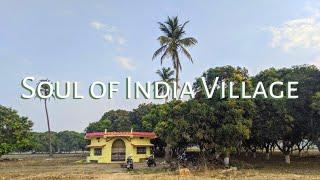 Beautiful village near Nagpur | Kodamedi village | Indian village.