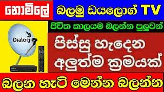 නොමිලේ ඩයලොග් tv බලමු | Watch Free TV on Dialog 2023  Sinhala / free data