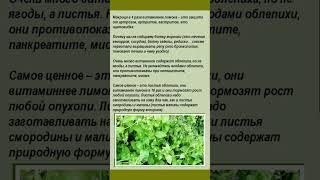 Полезно знать  #здоровье  #полезнознать  #полезныесоветы #советы