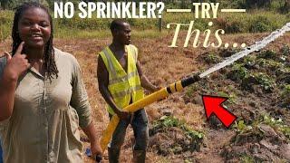Simple Irrigation System For Farming Without A sprinkler | How To Irrigate Farm Without A Sprinkler