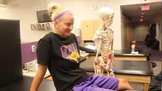 UNI's Division of Athletic Training