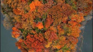 Fall || Drone Video || DJI MAVIC PRO 【4K】