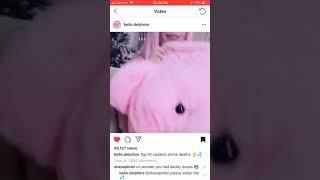 Belle delphine Twerk Video [Uncensored]