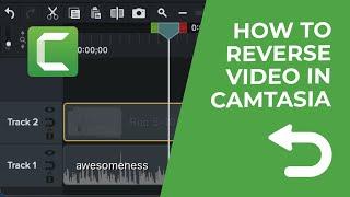 How to Reverse Video In Camtasia