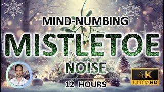 Mind Numbing Mistletoe Sleep Noise | Rapid Deep Sleep | 12 Hours | BLACK SCREEN | Anxiety Relief