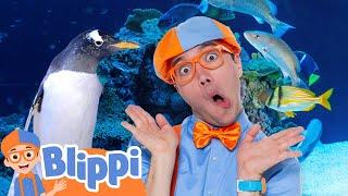 Can Blippi Find All the Sea Creatures?  Ocean Bingo Adventure! | Educational Videos for Kids