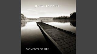 Moments Of Life