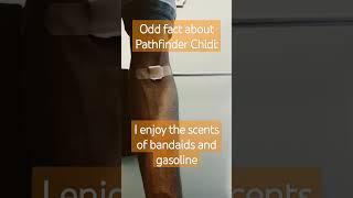 Odd fact about Pathfinder Chidi