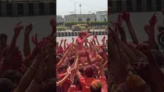 Springboard Holi Celebration #dance #holimashup #trending #viral #springboard #new #shorts