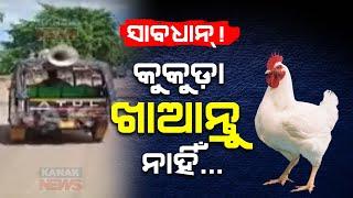 Bird Flu In Kendrapara's Derabish | Culling Of Chickens To Begin | Odisha  Bird Flu Updates