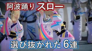 阿波踊りスロー踊り　選び抜かれた6連