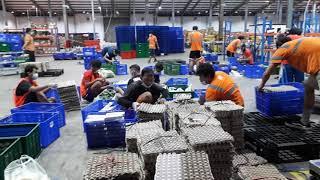 PROSES  loading barang di gudang SHOPEE