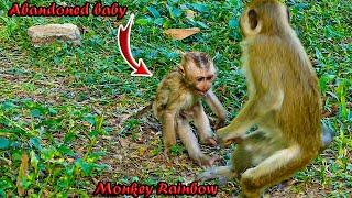 ___________Little abandoned monkey gets upset when monkey Rainbow rejects to adopt her