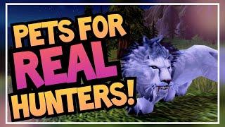 RAREST Obtainable Hunter Pets | Unique Pet Guide Ep. 2 | World of Warcraft BFA & Shadowlands