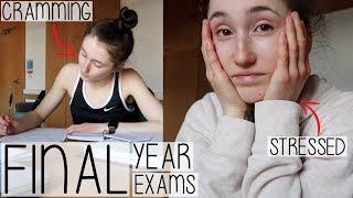 5 EXAMS IN 5 DAYS | MY FINAL YEAR EXAM SEASON DIARY 2019