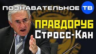 Правдоруб Стросс-Кан (Познавательное ТВ, Артём Войтенков)