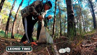 You can eat all mushrooms, but some - only once | Leonid Timo