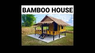 Amazing Bamboo House 