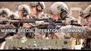 Marine Special Operations Command | MARSOC "Always Faithful, Always Forward"