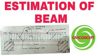 Estimation of Beam Quantity