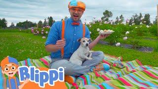 Blippi Visits a Farm and Finds Animals! | Animals for Kids | Animal Cartoons | Learn about Animals