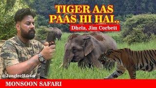 Tiger Aas Paas hi hai | Jim Corbett | Dhela Monsoon Safari