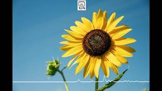 [FREE] Zico - "Sunflower" | Free Melodic Type Beat 2022 | Rap Instrumental 2022