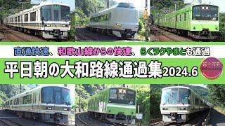 大和路快速不在、平日朝の大和路線通過集2024.6【続々列車】