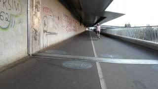 Radweg Reichsbrücke stadteinwärts