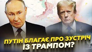 Трамп "ЗДАВ" Путіна! Російський диктатор ПРОСИТЬ про зустріч! Які умови МИРУ у Кремля?