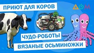 Чудо-роботы, виртуальный гид и арт-подъезд в Одессе | Чем живёшь, Украина?