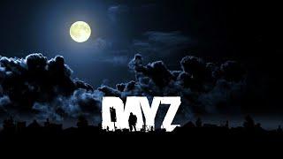 DayZ/Solo Survival/Afraid of the Dark?