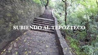 SUBIENDO AL TEPOZTECO DE TEPOZTLÁN