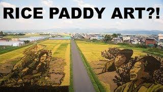 Rice Paddy Art–Grown Over 5 Months! Changes Yearly!