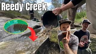 I Found a FORTUNE Crystal Hunting & Gold Panning in Reedy Creek!