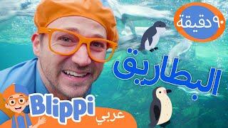 بليبي يتعلم عن طيور البطريق في حديقة الحيوانات | برنامج بليبي التعليمي | Blippi - بليبي بالعربي