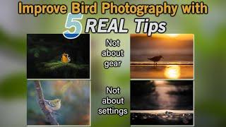 Improve Your Bird Photography with 5 Real Tips!