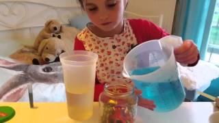 DIY - Zelf aquarium in pot maken -  knutselen (Nederlands)