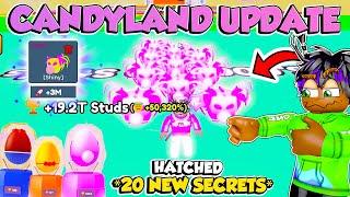 I HATCHED A *FULL TEAM* OF THE NEW SECRET Under 1 Hour | 3M+ Stats CANDYLAND UPDATE in Fly Race