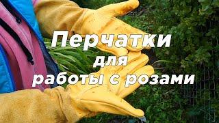 Бюджетные садовые перчатки #кожаные #садовые #перчатки